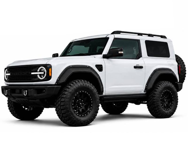 Black Horse Metal Fender Flares