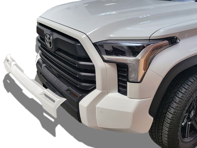 Ecoological Fog Lamp Bezel Overlay